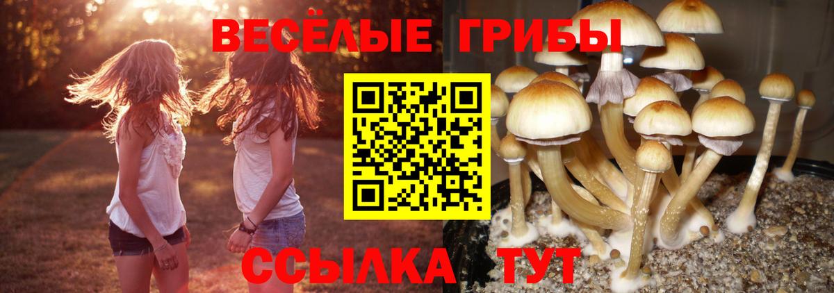 Галлюциногенные грибы Psilocybe  Псилоцибиновые грибы ЛСД  Домодедово  Вход с VPN 