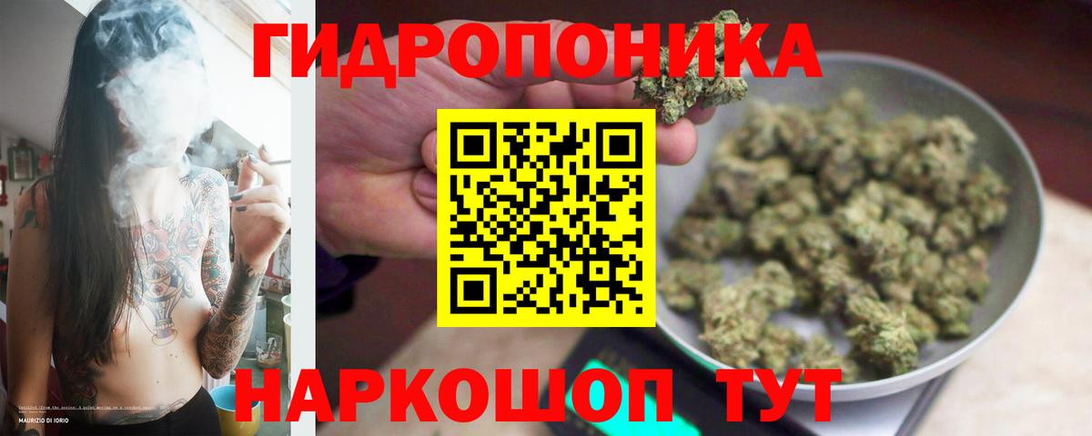 Каннабис ГИДРОПОН  Канабис ГИДРОПОН  Шишки марихуана планчик  Домодедово  Вход с VPN 
